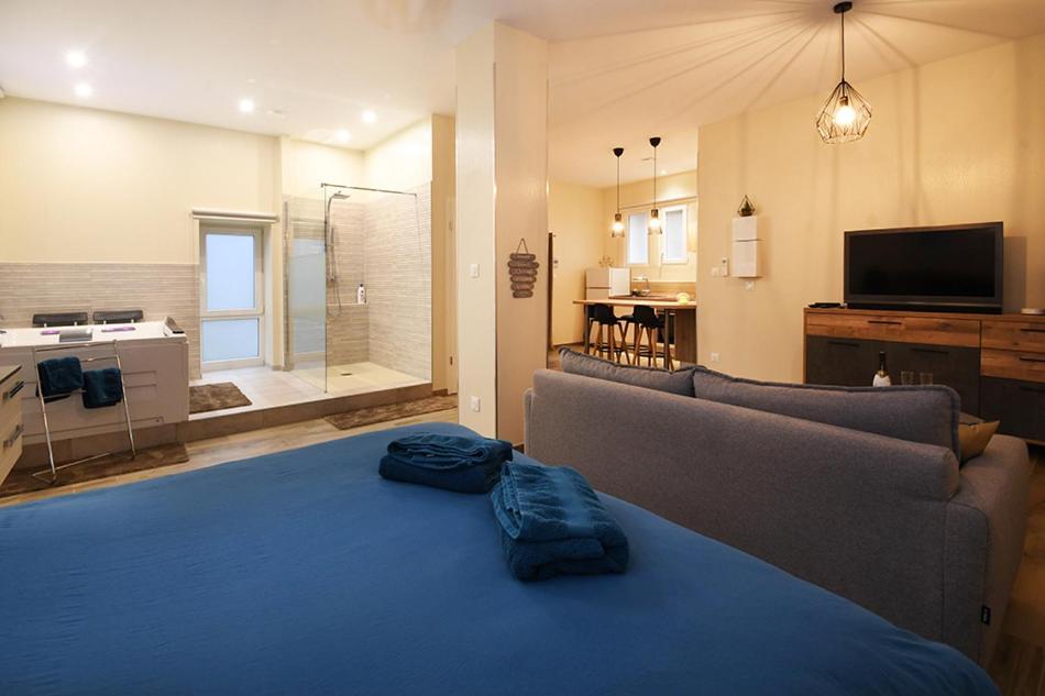 Appartement Loft Detente Strasbourg Bagian luar foto